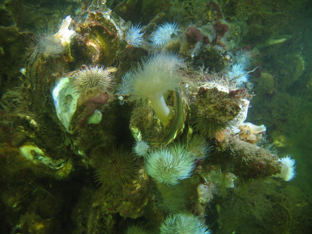 2008-07-20 09-06-51.JPG